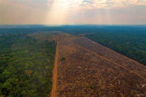 desmatamento na amazonia 2003 a 2007